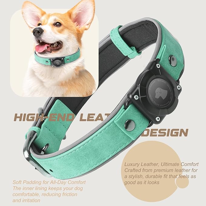 AirTag Dog Collar - Leather Dog Collar with Air Tag Holder | IPX8 Waterproof, Reflective, High - End, Adjustable Soft Padded | Dog GPS Tracker Collars Fit for Medium Large Dogs (Teal, M)-PawvioPets