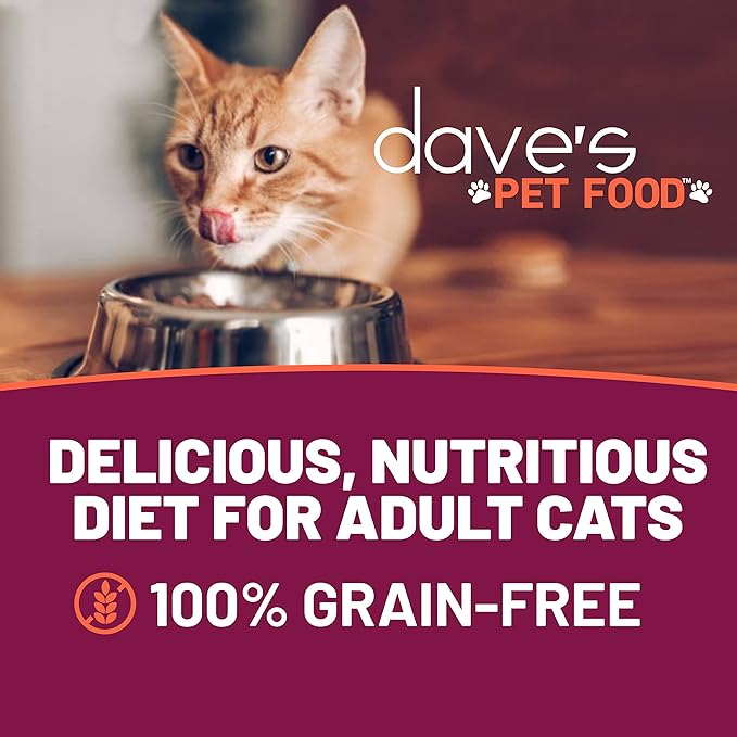 Dave's Pet Food Grain Free Wet Cat Food Pate (Turkey), Made in USA Naturally Healthy Canned, Added Vitamins & Minerals, Carrageenan-Free, 5.5 oz Cans (24 Pack)-PawvioPets