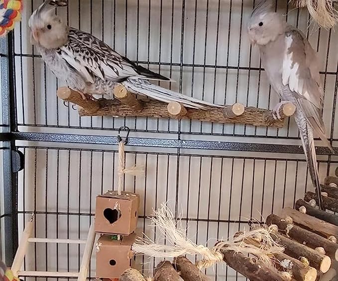 Bird Parrot Ladder Perch for Cage, Nature Wooden Bird Bridge Exercise Stands Parrot Climbing Chewing Toys for Small Animal-PawvioPets