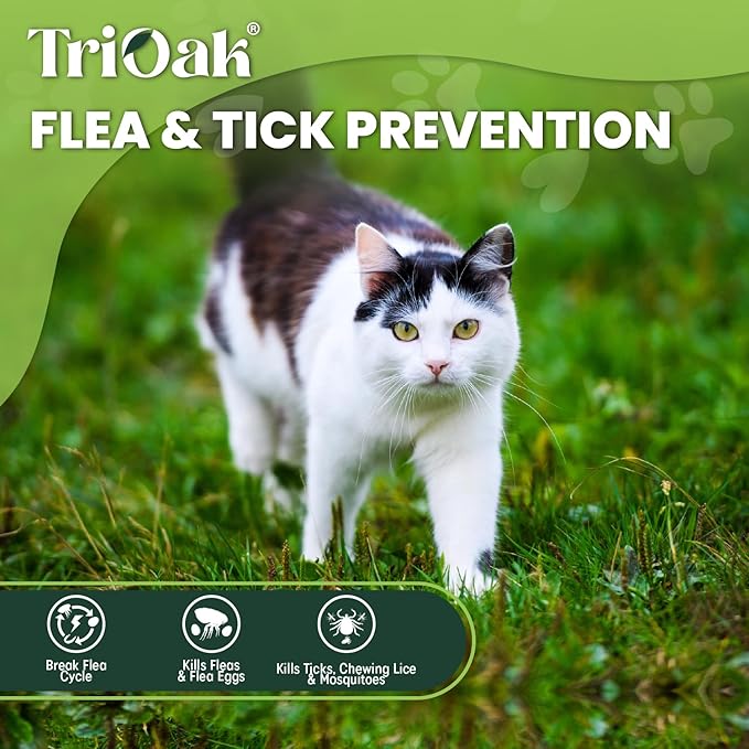 Flea and Tick Prevention for Cats: Flea & Tick Topical for Cats Over 1.5lbs, 6 Dose Flea and Tick Control/Prevention for 6 Months (6 Pack)-PawvioPets