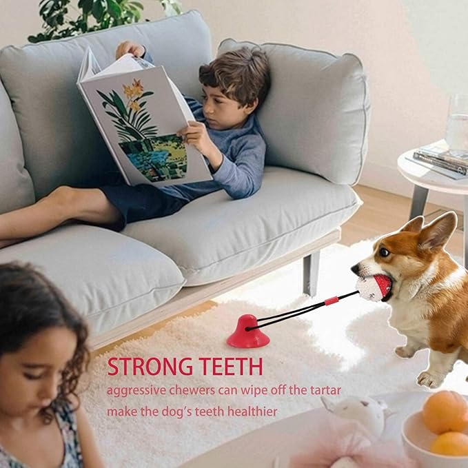 Dog Toys, Dog Chew Toys for Aggressive chewers,Rope with Suction Cup for Puppy Training Treats Teething for Boredom, Small Dog Puzzle Toy Treat Food Dispensing Ball (red)-PawvioPets