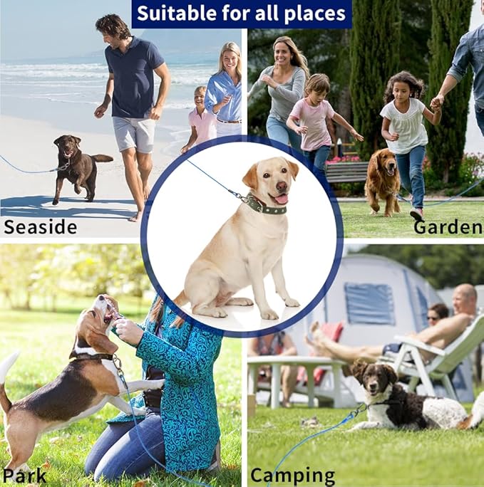 Dog Tie Out Cable, 100FT, Blue, Suitable for Dogs up to 350 pounds, Lightweight, Non-Winding, for Outdoor Camping, Yard-PawvioPets