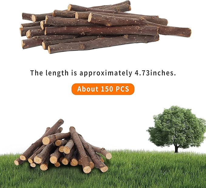 600g Apple Sticks Molar Wood Treats, Rabbit Toys Chinchilla Guinea Pig Bunny Toys Wood Chews Sticks for Teeth Rabbit Food Guinea Pig Hamster Gerbil Chews Small Animals Snacks(150 Pcs)-PawvioPets