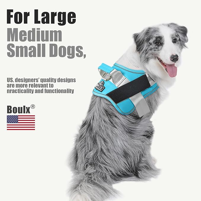 Bolux Dog Harness, No-Pull Reflective Dog Vest, Breathable Adjustable Pet Harness with Handle for Outdoor Walking - No More Pulling, Tugging or Choking (OceanicBlue, Large (Pack of 1))-PawvioPets