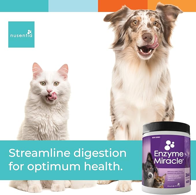 Digestive Enzymes for Dogs & Cats : Protein, Carbs, Starches & Fats Digestion : Supports Diet Change : Enzyme Miracle (364 Scoops, Powder)-PawvioPets