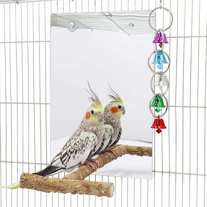 Bird Mirror Toy with Perch Stand, Parrot Parakeet Mirror with Bird Swing Bell Toys, Bird Cage Accessories, Suitable for Parakeet Cockatiel Conure Lovebirds - 7.9 × 6.3 Inch-PawvioPets