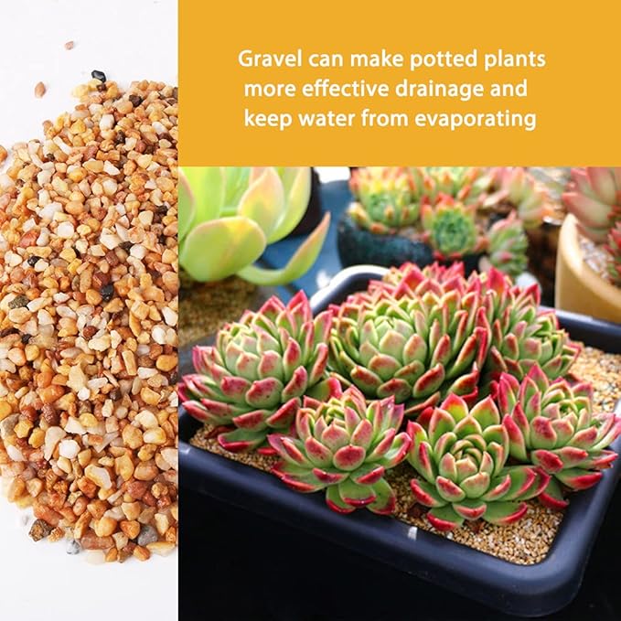 7lb Cactus Pea Gravel Rocks,1/5 Inch Pebbles for Indoor Plants, Natural Succulent Rock and River Rocks Decorative for Aquariums, Vases, Terrarium, Outdoor Gardening, Top Dressing for Potted Plants-PawvioPets