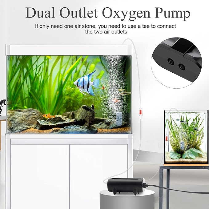 AQQA Aquarium Air Pump,3.5W 5W Dual Outlet Oxygen Pump with 2 Air Stone,Adjustable Air Valve Quiet Bubbler Pump,Up to 160 Gallon Fish Tank (3.5w)-PawvioPets