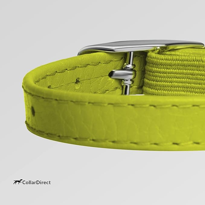 CollarDirect Leather Cat Collar, Kitten Collar with Removable Bell Black Blue Red Orange Lime Green (8-11 Inch, Lime Green)-PawvioPets