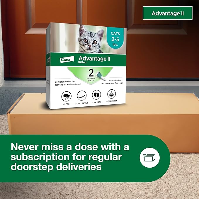 Advantage II Kitten Vet-Recommended Flea Treatment & Prevention | Cats 2-5 lbs. | 2-Month Supply-PawvioPets