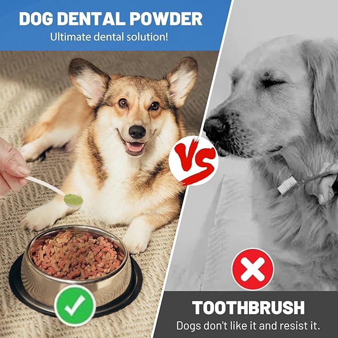 Dog Teeth Cleaning Powder, Dog Dental Powder and Breath Freshener, Plaque Off Pet Tooth Cleaning lab co, Bad Breath & Tartar Remover for Dogs, Natural Herbal Blend - All Breeds & Sizes-PawvioPets