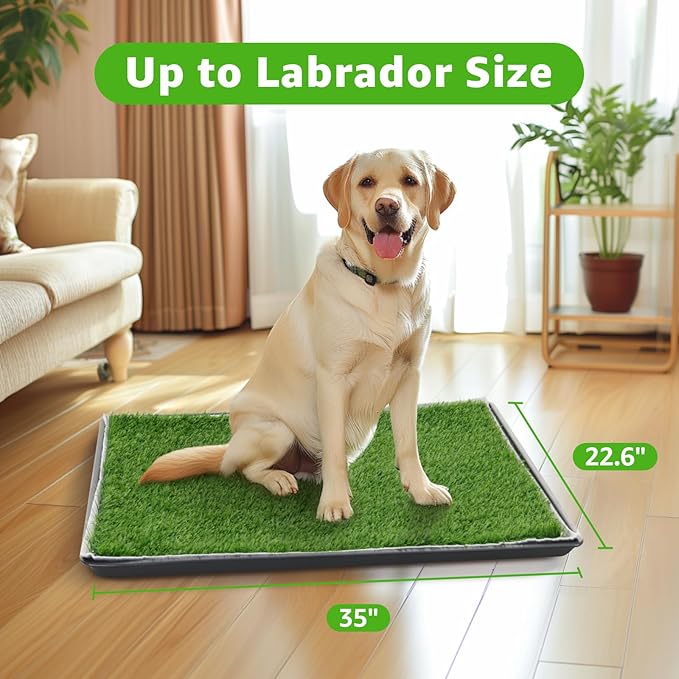 Dog Grass Large Potty Patch, Dog Litter Boxes Artificial Grass Bathroom Turf for Pet Training, Washable Puppy Pee Pad, Perfect Indoor/Outdoor Portable Potty Pet Loo-PawvioPets