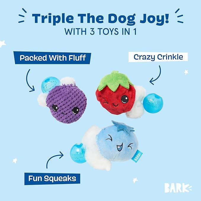Barkbox Wild Berry Bunch Multi Part Toy for Dogs and Puppies - Small Breeds-PawvioPets