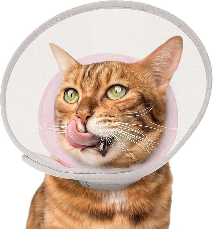 Cat Cone Collar Soft: Comfortable Waterproof Mesh Recovery Cone After Surgery to Stop Licking and Scratch, Alternative to Plastic Elizabeth Head/Neck Cone-PawvioPets