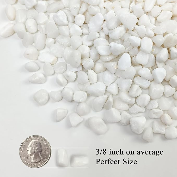 5 lbs White Pebbles for Indoor Plants, 3/8 Inch Decorative White Gravel, Polished River Rocks for Potted Plants Vase Cactus Bird Bath and Outdoor Garden Landscaping-PawvioPets
