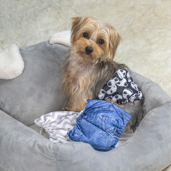 CuteBone Dog Belly Bands for Male Dogs Wraps Washable Doggie Diapers DM06S-PawvioPets