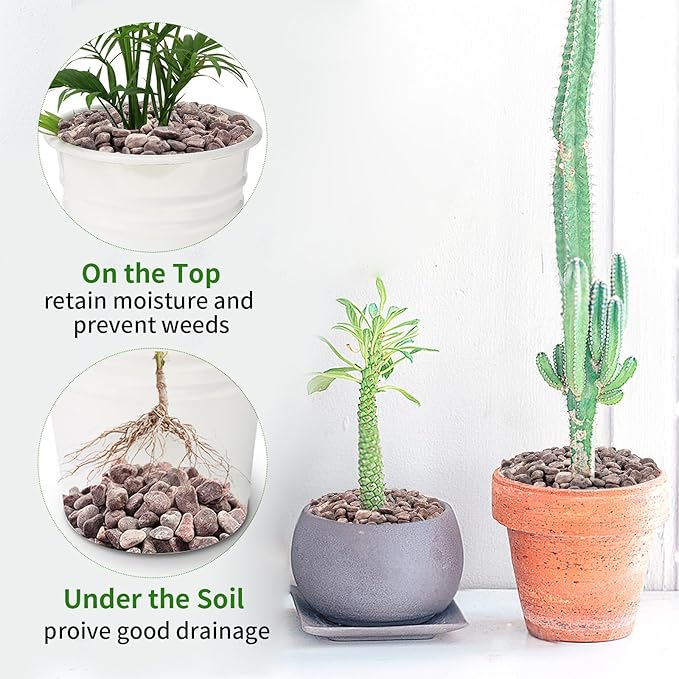 2 lbs Succulent and Cactus Pebbles Gravel, 3/8 Inch Decorative Red River Rocks for Plants Indoor, Vases, Terrarium, Potted Top Dressing and Outdoor Decorative Stones-PawvioPets