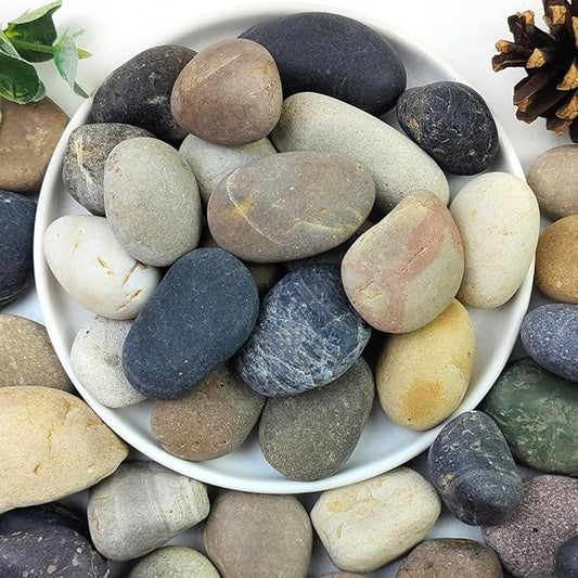 40lbs Natural River Rocks, 1-2" Premium Pebbles for Garden and Landscape Design, Hand-Picked Smooth Stones for Fish Tank, Flower Pots, Indoor Water Fountains, Pathways, Backyard-PawvioPets