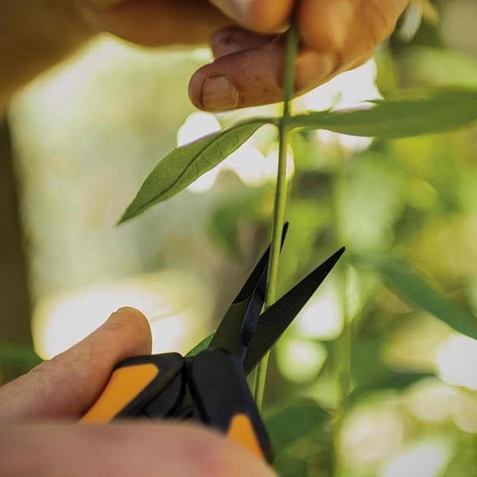 Fiskars 6" Pruning Scissors (2-Pack) for Flowers, Buds, Weeds and Small Plants, Garden Snips with Resin Resistant Nonstick Stainless Steel Blades, Gardening Trimmers with Comfortable Handle-PawvioPets
