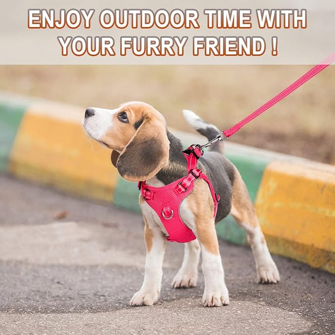 Dog Harness Step in Dog Vest Harness, Reflective Adjustable Puppy No Pull Harness Breathable Soft for Small and Medium Dogs Cats, Pink, XS-PawvioPets