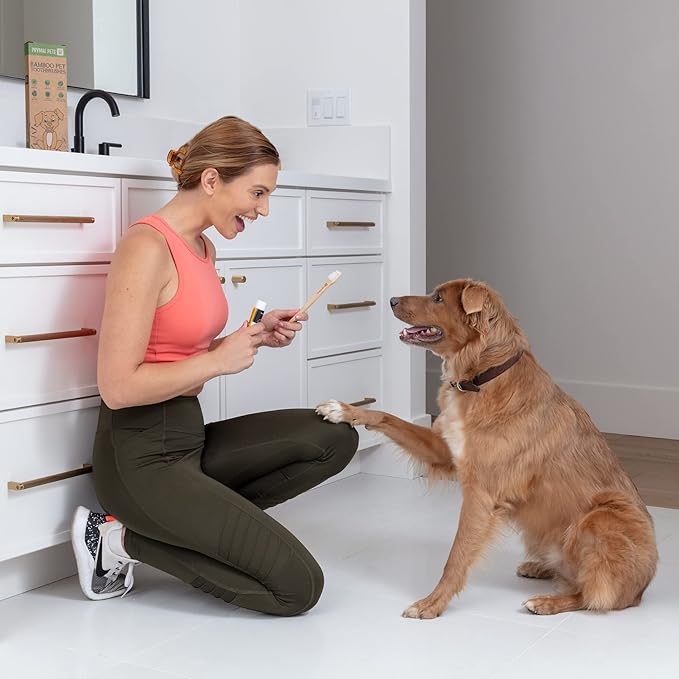 Dog Toothbrush I 4-Pack Two Sided Bamboo Toothbrush for Small and Large Dogs & Cats I Soft Bristles Gentle for Easy Dog Teeth Brushing & Dental Care-PawvioPets