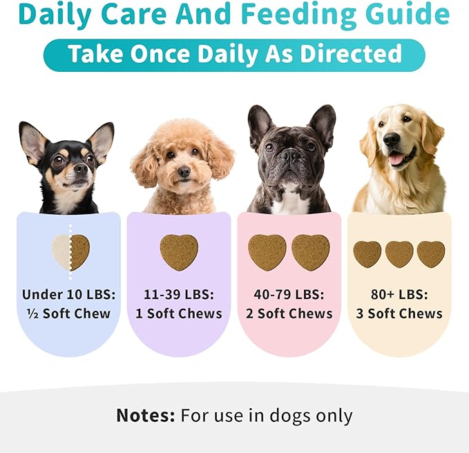 Dog Skin & Allergy Chews - Dog Probiotics for Sensitive Skin Health Support - Allergy Relief - Support Seasonal Allergies, Immune & Gut & Digestive Health Supplement - Beef Flavor - 90 Count-PawvioPets