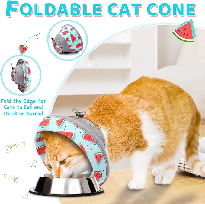 Cat Cone Collar Soft to Stop Licking, Adjustable, Foldable Lightweight Kitten Cones After Surgery Recovery for Cats & Kittens, Cat Cone Alternative (Blue, M)-PawvioPets