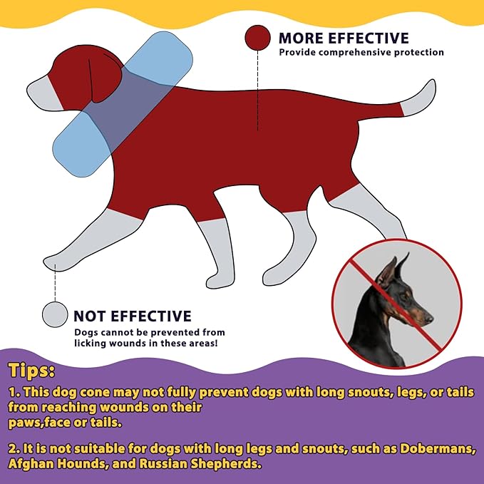 Crazy Felix Soft Donut Cone for Dogs to Stop Licking, French Bulldog Recovery Collar After Surgery Inflatable Cone Alternative for Small Medium Large Dogs, Elizabethan Collar with Boxer Pattern-PawvioPets