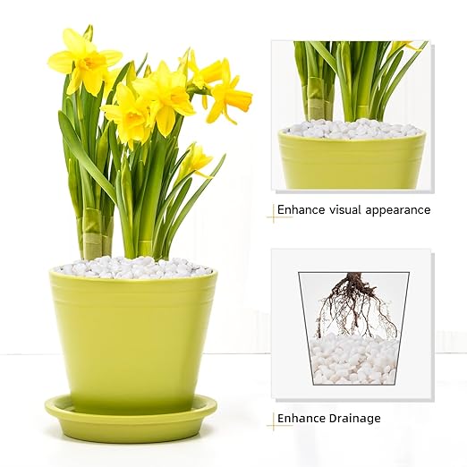 2.5 lbs White Aquarium Gravel, 1/5 Inch White Rocks for Plants, Small Pebbles for Vases, Succulents, Bamboo, Natural Decorative Pebbles for Plants Drainage, Cactus, Crafts-PawvioPets