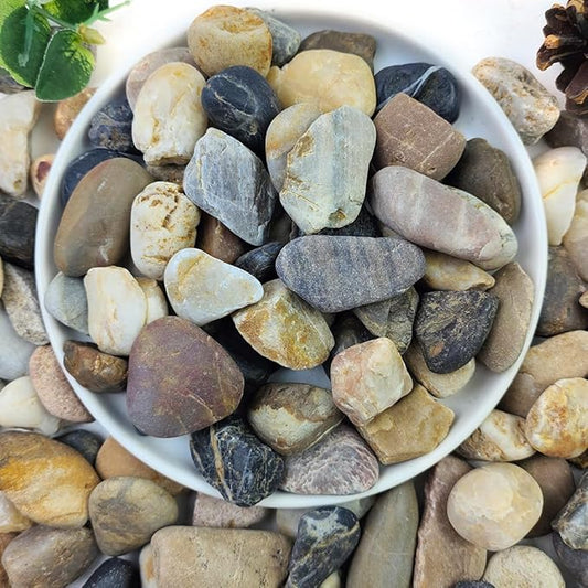 10lbs Aquarium Rocks, 5/8" Natural River Rocks for Plants Decorative Polished Mixed Pebbles for Fish Tank, Landscaping, Gardening, Flower Pots, Vase Fillers, Indoor Water Fountains-PawvioPets