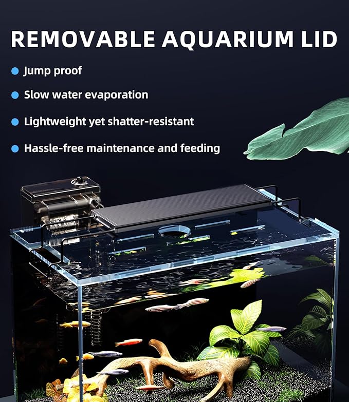 5 Gallon Fish Tank Aquarium Kit with Filter, LED Light with Timer, Siphon Vacuum Cleaner, Lid, Self-Cleaning Glass Rimless Betta Tank-PawvioPets
