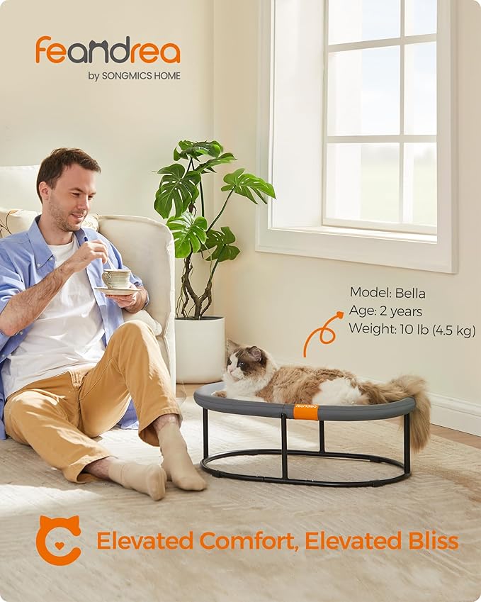 Feandrea Pet Bed, Cat Hammock, Elevated Cat Bed for Multiple Cats, with Removable Washable Mesh, for Pets up to 28 lb, Oval, Gray UPCB002G01-PawvioPets