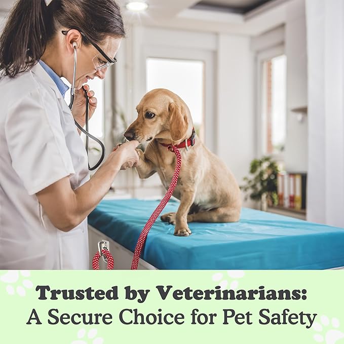 Canine Hitch- Secure Dog Leash Parking Mounted Indoor – Outdoor Wall Hook - Tie Out Stainless Steel Practical Lead Management for Home & Business, Standard Size-PawvioPets