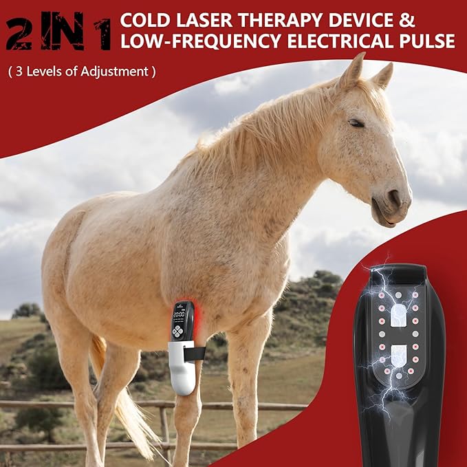 Cold Laser Therapy Device for Horse, Portable Red Light Therapy with 4pcs 808nm and 12pcs 650nm, Near Infrared Laser for Arthritis Pain Relief- Electrical Stimulation for Tendon, and Ligament Recover-PawvioPets