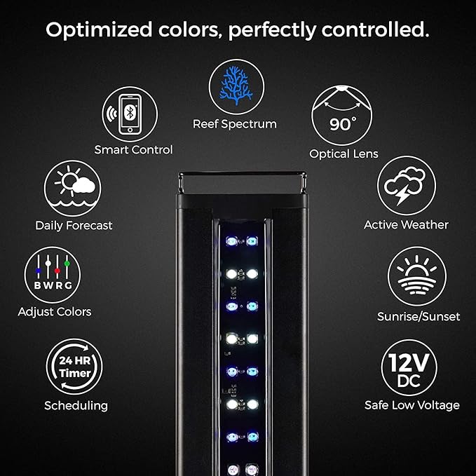CURRENT USA 72" Inch Orbit Marine IC LOOP LED Saltwater Reef Marine Aquarium Light with Bluetooth App Control | Wireless Lighting & eFlux Wave Pump Control for Fish Tank (4208)-PawvioPets