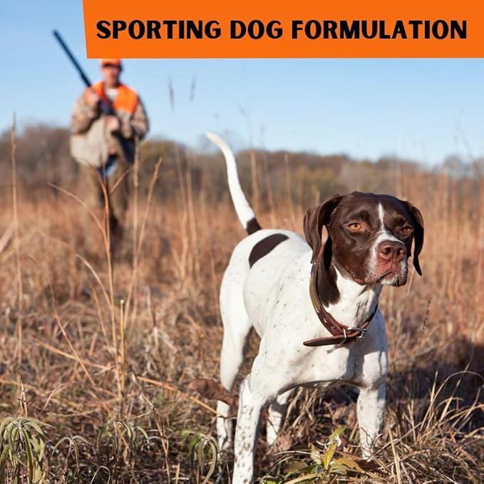 Dr. Connie's Natural Solutions Wound Repair & Care for Sporting Dogs | Veterinarian Formulated Skin Care Solution | Promotes & Enhances Skin Healing-PawvioPets