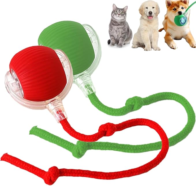 2 Packs Interactive Cat Toy Ball for Indoor Cats - 3-Speed Smart Rolling Ball with Flashing Lights, USB Rechargeable Automatic Motion Kitten Toys for Bored Adult Cats & Playful Kittens-PawvioPets
