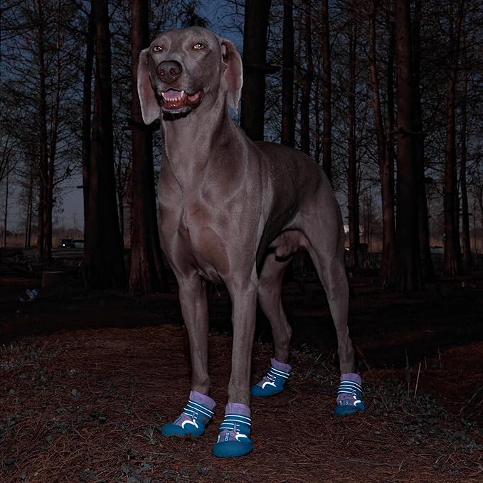 Dog Shoes, Waterproof Dog Boots & Paw Protectors with Anti-Slip Sole, 4pcs/Set Pet Dog Booties, Reflective Dog Shoes for Small Medium Large, Winter Snowy Summer Hot Pavement (Blue, 3# (XS))-PawvioPets