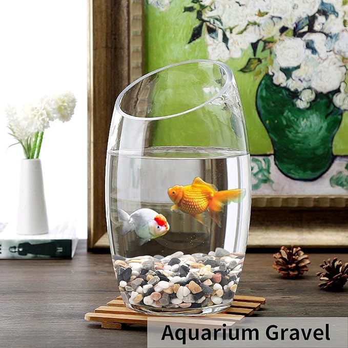 5 lbs Succulent and Cactus Pebbles for Indoor Plants, 3/8 Inch Pea Gravel Decorative River Rocks for Plants, Vases, Terrarium, Aquarium, Potted Top Dressing and Outdoor Landscaping Stones-PawvioPets