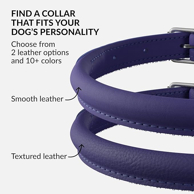 CollarDirect Rolled Leather Dog Collar, Soft Padded Round Puppy Collar, Handmade Genuine Leather Collar Dog Small Large Cat Collars 13 Colors (13-16 Inch, Purple Smooth)-PawvioPets