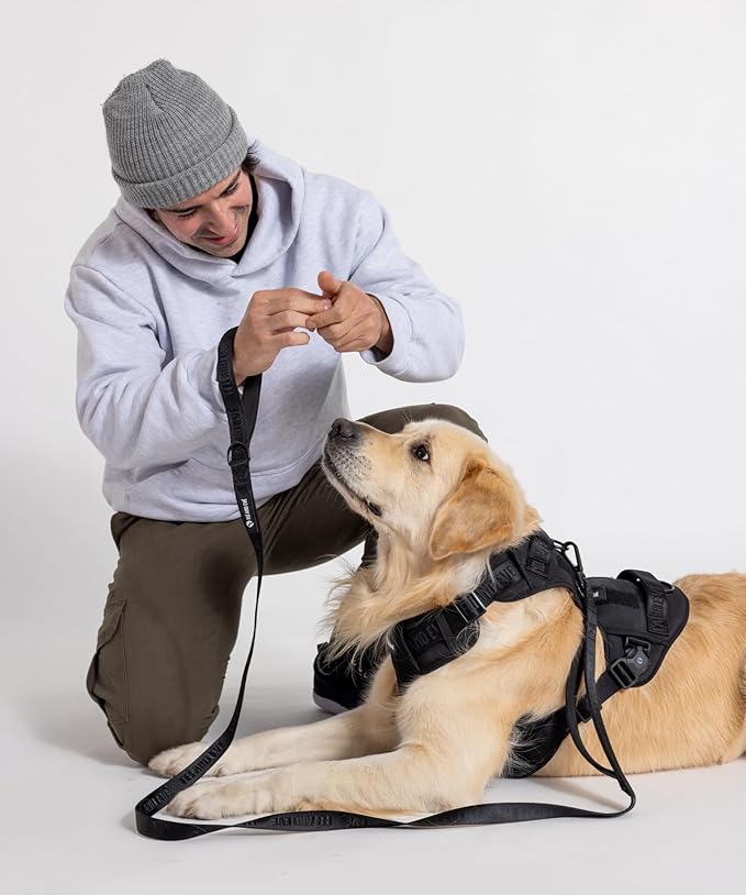 2025 New Edition, Fei & Eve MagEase Dog Harness - 3-Second Magnetic Buckles | 3-Point No-Pull Control | Heavy-Duty 900D Nylon | Dual Safety Handles | Breathable Mesh | Adjustable Fit | X-Large,Black-PawvioPets