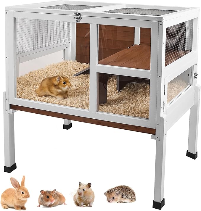 2-Story Guinea Pig Cage with Stand, Indoor Wooden Hamster Cage with Ramp, Pull-Out Tray, Hideout & Platform, Acrylic Transparent Small Animal Habitat for Chinchillas, Ferrets, Hedgehogs, Walnut-PawvioPets