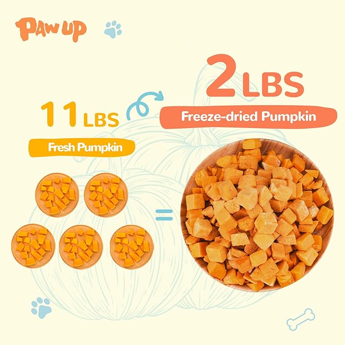 Freeze-Dried Pumpkin Treats for Dogs & Cats – High Fiber, Single Ingredient Natural Snacks for Digestion & Gut Health, Healthy Food Toppers, 1.58 oz-PawvioPets