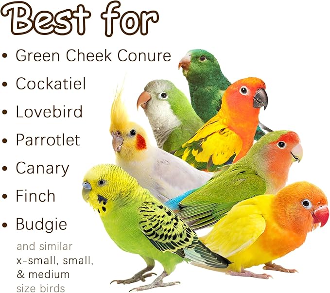 5-Pack Natural Hanging Basket Bird Toys – Foraging & Chewing Toys for Parakeets, Cockatiels, Conures & Small Birds – No Plastic, All-Natural Materials-PawvioPets