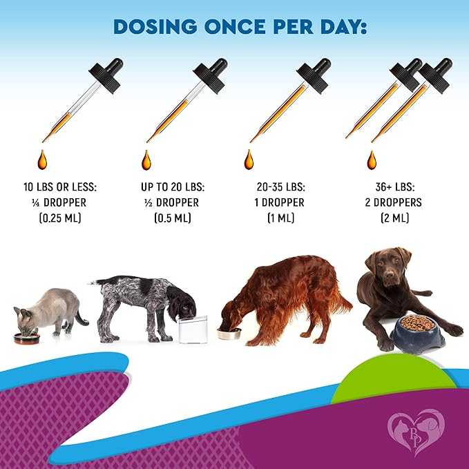 Cat & Dog Multivitamin Liquid with Glucosamine & Cranberry | 15 in 1 Health Supplements for Urinary Tract Kidney, Bladder, Hip & Joint, Skin & Coat | Natural UTI Medicine Made in USA (60 ml)-PawvioPets