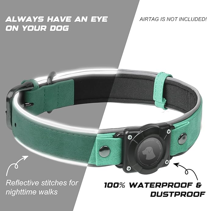 AirTag Dog Collar - Leather Dog Collar with Air Tag Holder | IPX8 Waterproof, Reflective, High - End, Adjustable Soft Padded | Dog GPS Tracker Collars Fit for Medium Large Dogs (Teal, M)-PawvioPets