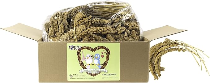 Birds LOVE French Kissed Spray Millet for Birds - Parakeets, Cockatiels, Lovebirds, Finches, Budgies, Canaries, Cockatoos - Natural & Healthy Bird Millet - Parakeet Food & Treats for All Parrots 5lbs-PawvioPets