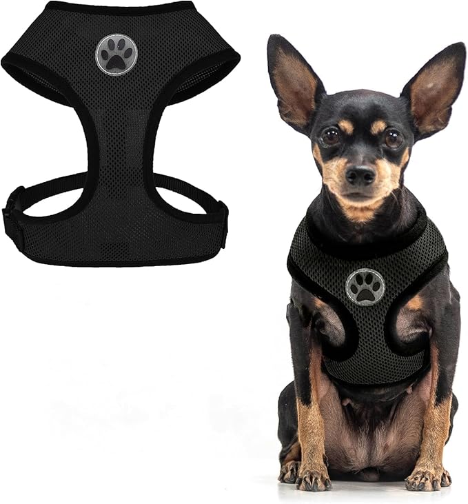 BINGPET Small Dog Harness - Breathable Mesh Puppy Cat Harnesses - No Pull Adjustable Dog Harness Dog Vest Harness for Small and Medium Dogs-PawvioPets