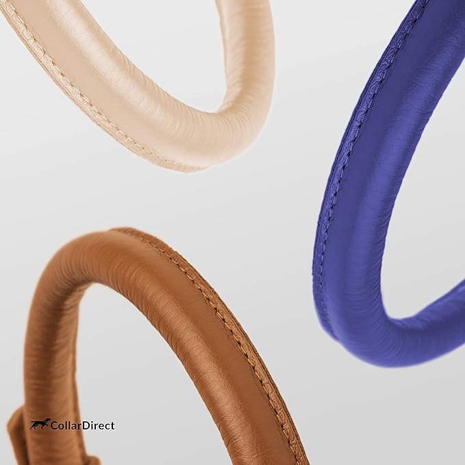 CollarDirect Rolled Leather Dog Collar, Soft Padded Round Puppy Collar, Handmade Genuine Leather Collar Dog Small Large Cat Collars 13 Colors (15-19 Inch, Purple Textured)-PawvioPets