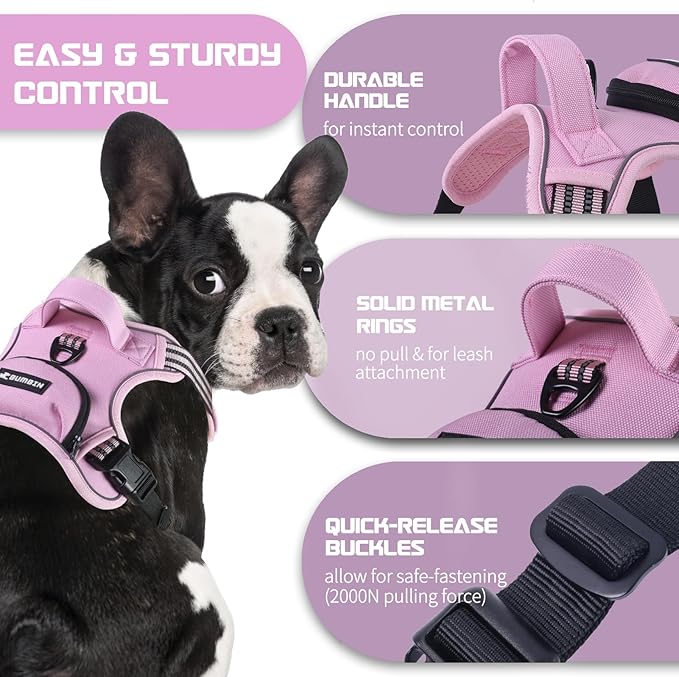 BUMBIN Dog Harness for Large Dogs, No Pull Adjustable No Choke Pet Vest with Dog Leash Fit Smart Reflective Pet Walking Harness for Training Easy Control Soft Handle Pink L-PawvioPets